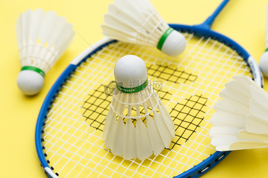 以其坚韧不 以其坚韧不