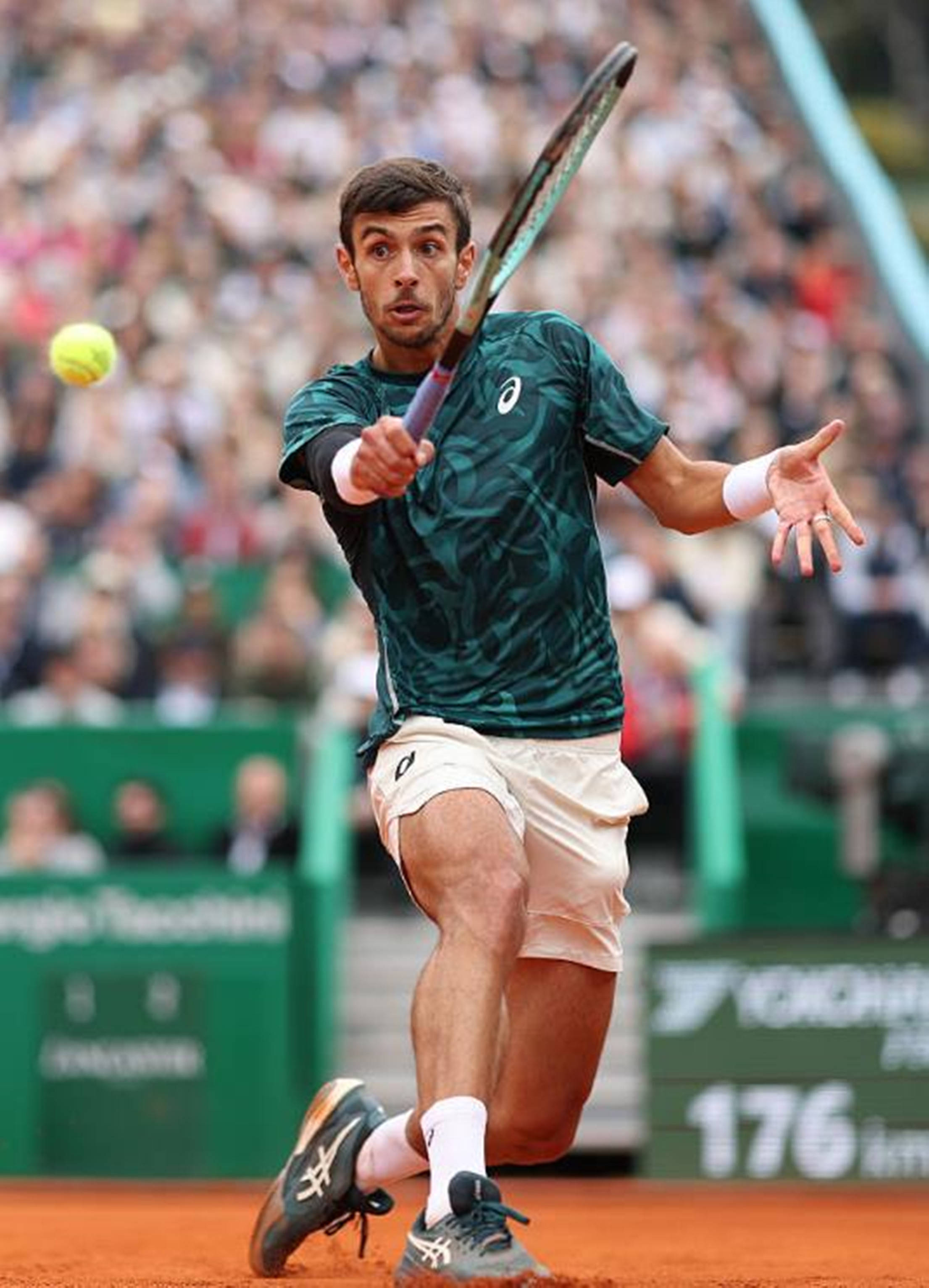 集聚了众多 集聚了众多