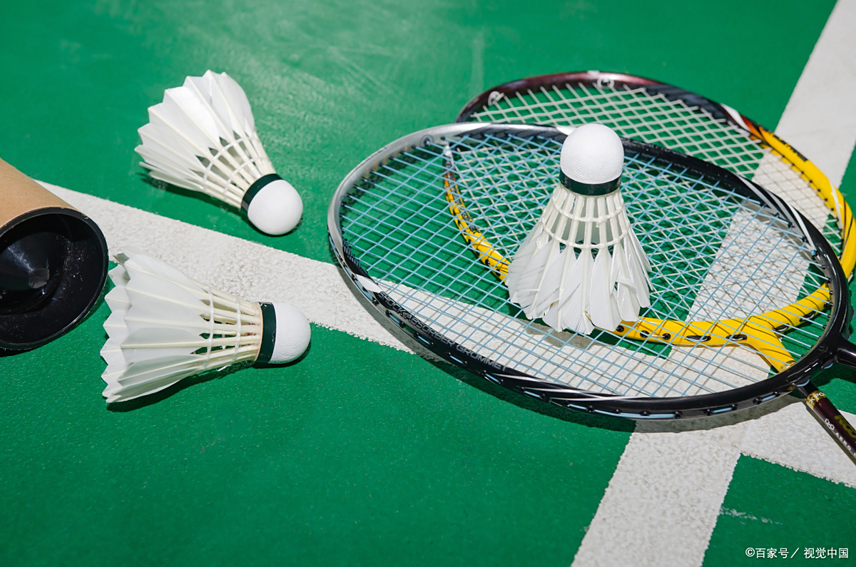 女双八强 女双八强