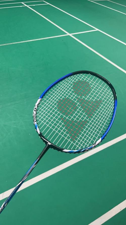 亚冬会丨速度滑冰项目收官 中国队共获11枚金牌2025-02-11.