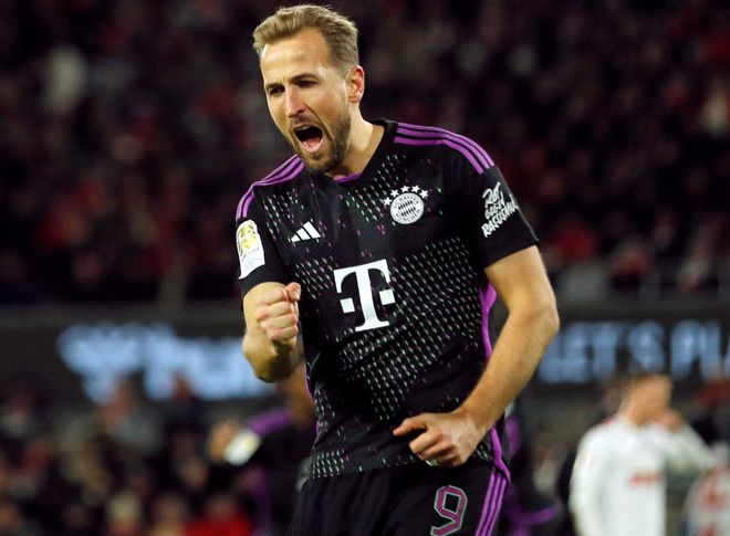 在世界羽毛 在世界羽毛