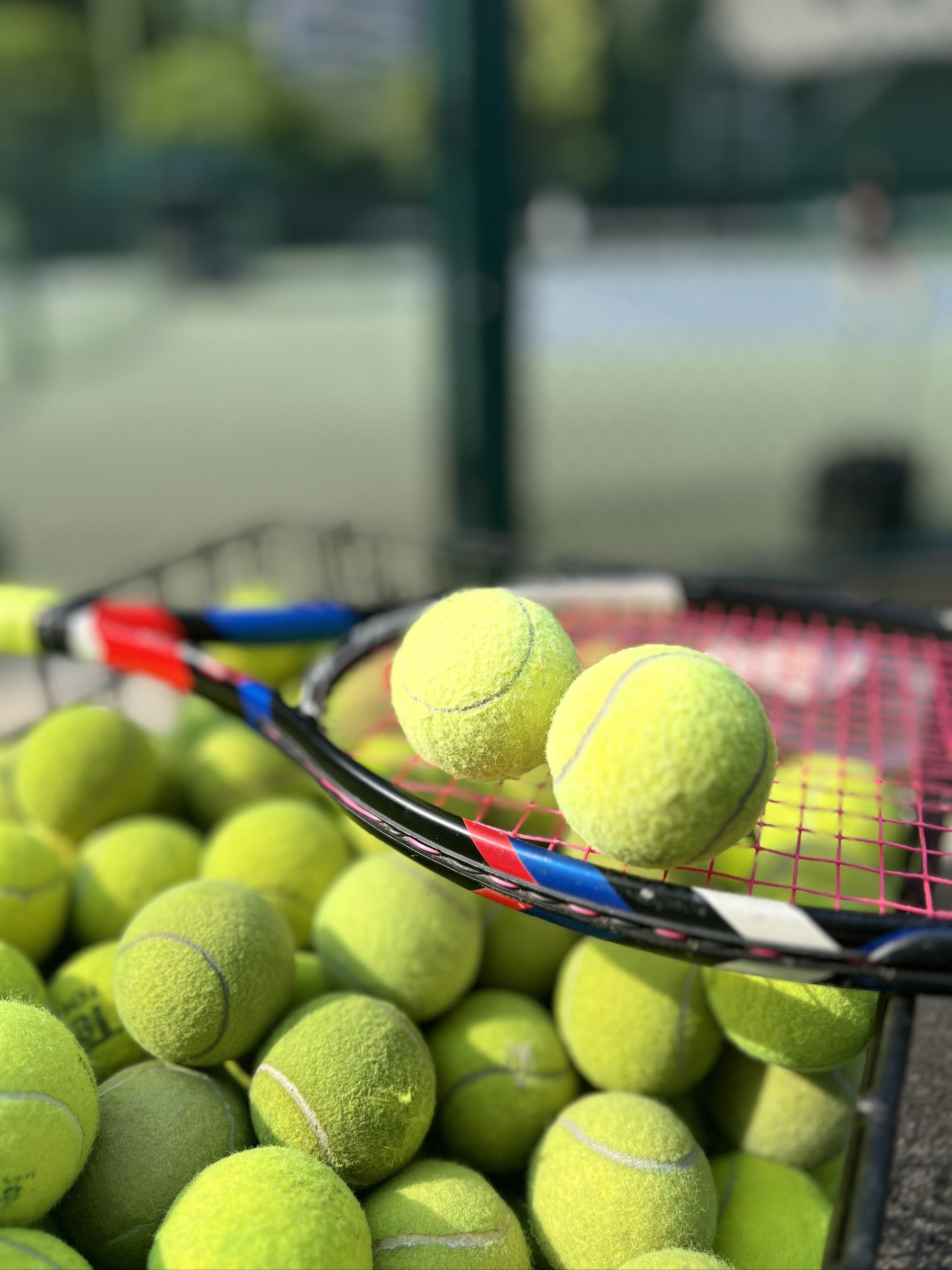 到更复杂的 到更复杂的